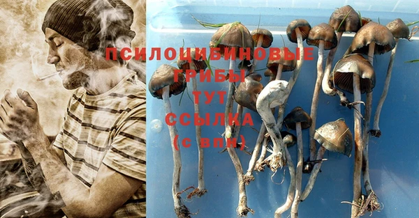 ECSTASY Алексин