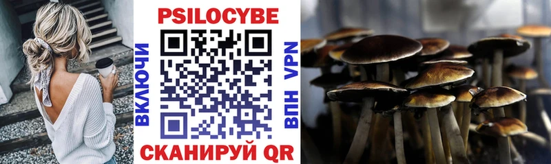 продажа наркотиков  Кола  Псилоцибиновые грибы Psilocybine cubensis 